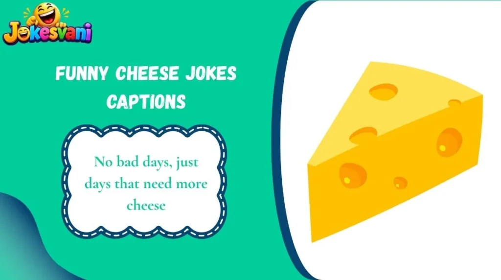 Funny Cheese Jokes Captions