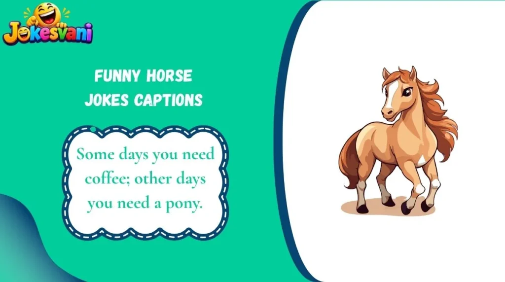 Funny Horse Jokes Captions