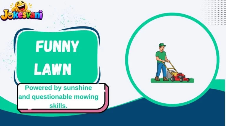 Funny Lawn