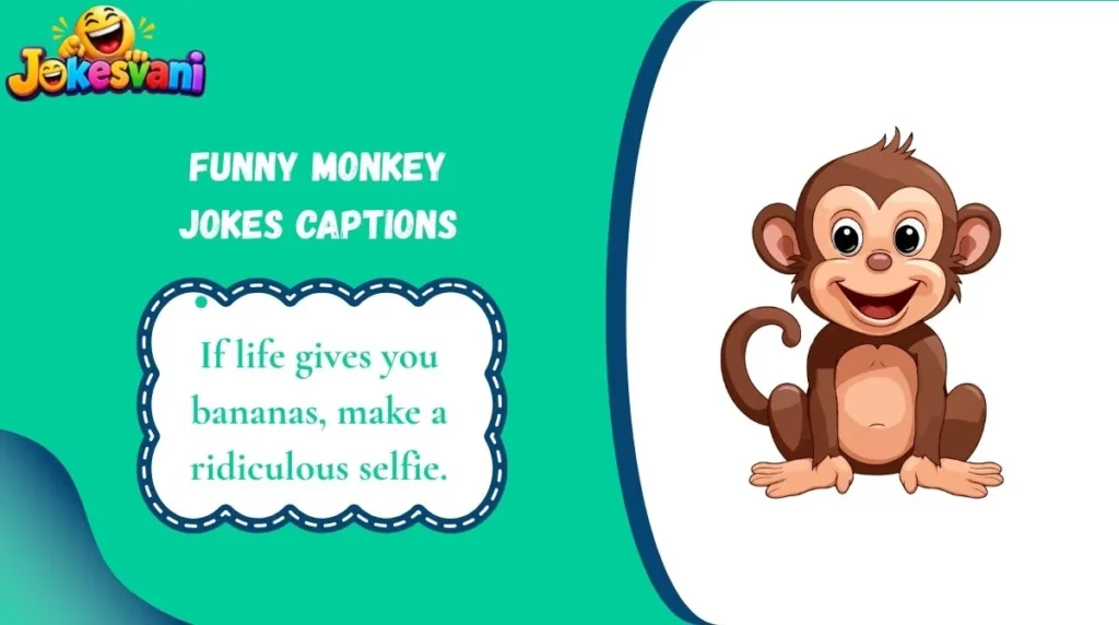 Funny Monkey Jokes Captions