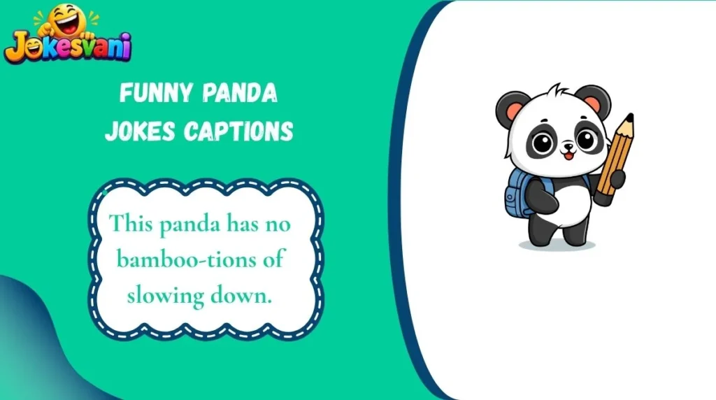 Funny Panda Jokes Captions