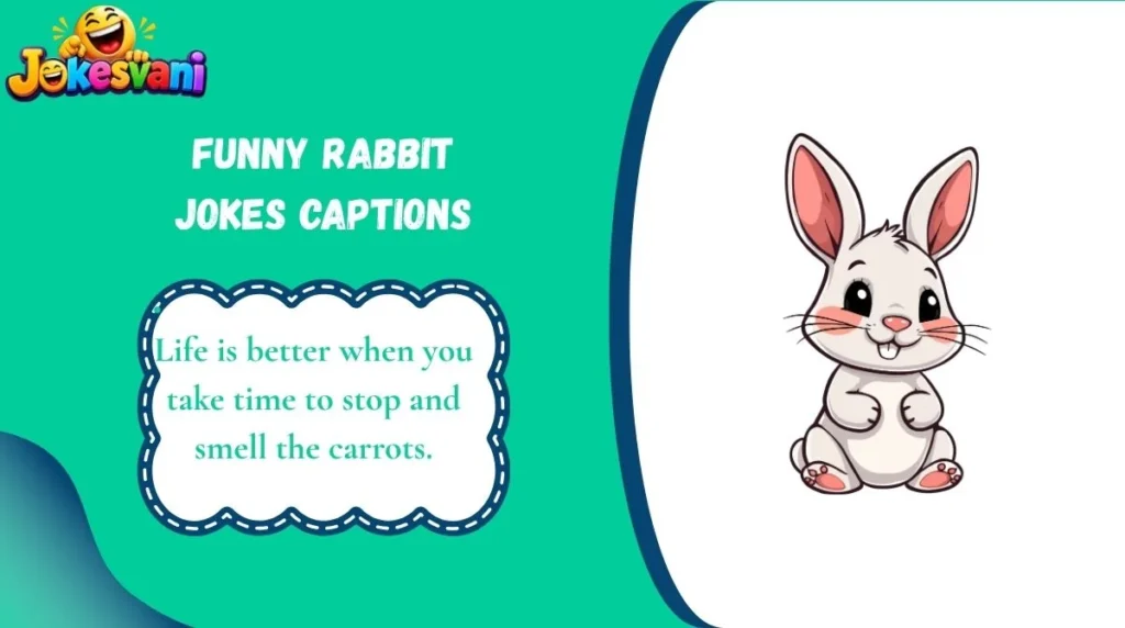 Funny Rabbit Jokes Captions