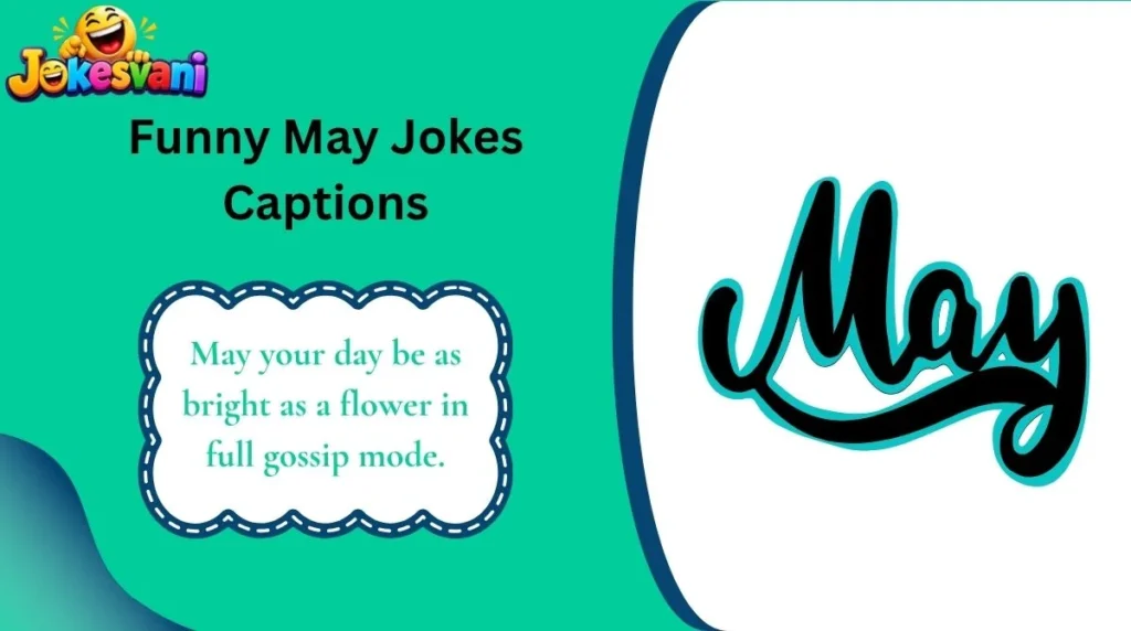 Funny May Jokes Captions