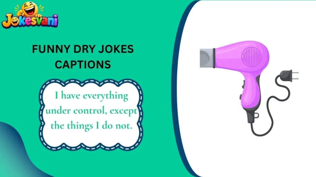 Funny Dry Jokes Captions